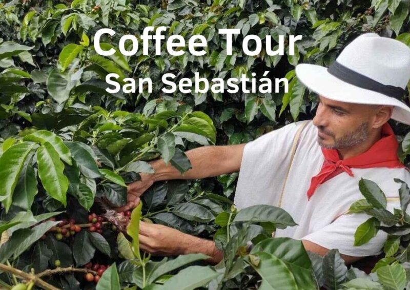 From Farm to Cup: The Ultimate Coffee Tour - Itinerary and Activities
