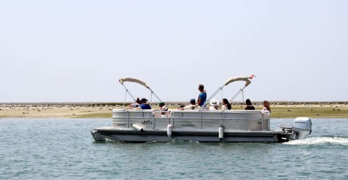 From Faro: 2-Hour Guided Bird Watching Boat Trip - Activity Details