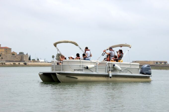 From Faro: 2-Hour Guided Bird Watching Boat Trip - Location and Access