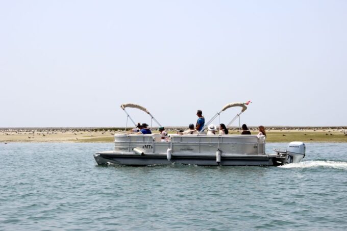 From Faro: 2-Hour Guided Bird Watching Boat Trip - Frequently Asked Questions