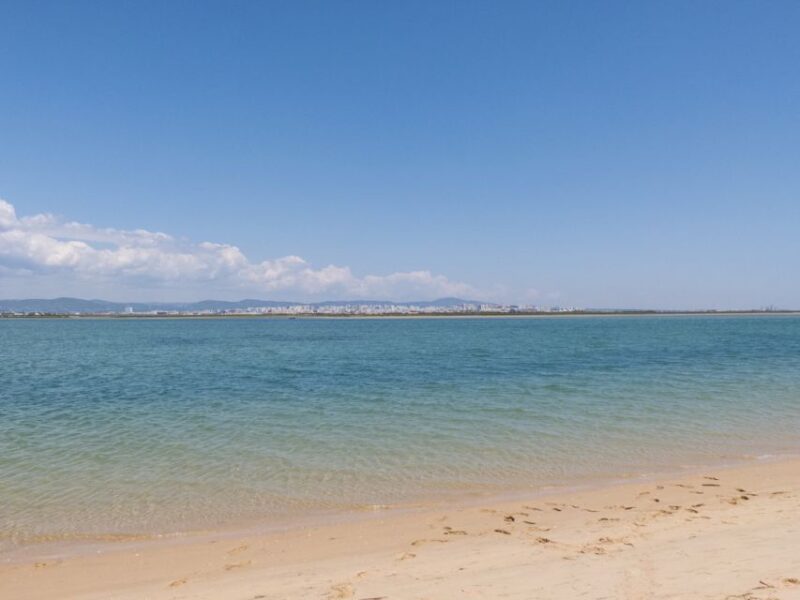From Faro: 2-Hour Guided Bird Watching Boat Trip - Booking Information