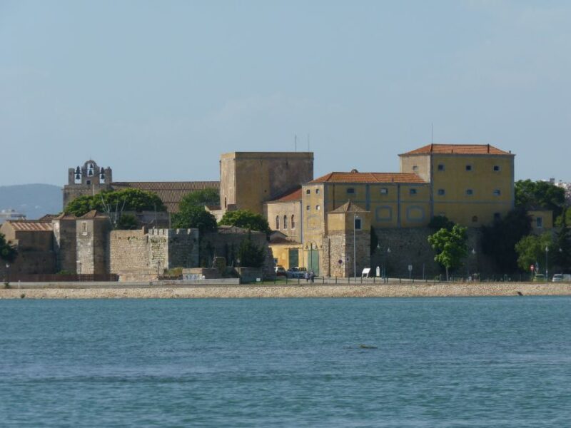 From Faro: 4 Stops, 3 Islands in Ria Formosa Catamaran Tour - Itinerary Highlights
