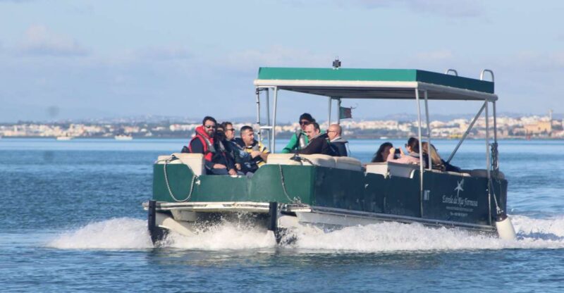 From Faro: 4 Stops, 3 Islands in Ria Formosa Catamaran Tour - Itinerary Highlights