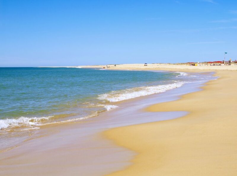 From Faro: 4 Stops, 3 Islands in Ria Formosa Catamaran Tour - Customer Reviews