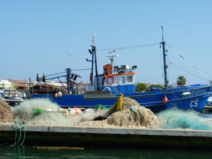 From Faro: 4 Stops, 3 Islands in Ria Formosa Catamaran Tour - Frequently Asked Questions