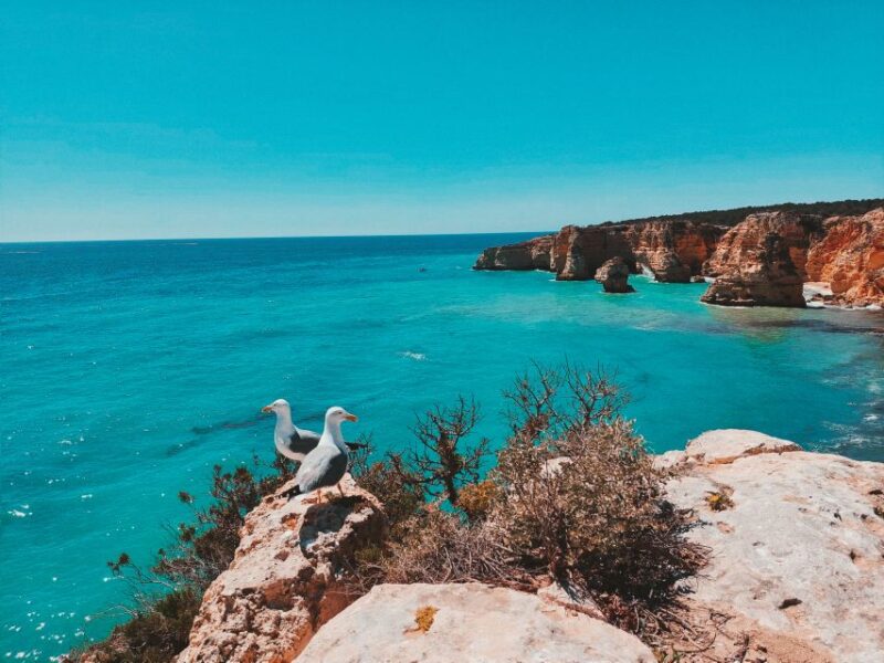From Faro: Benagil Cave, Marinha, & Carvoeiro Full-Day Tour - Inclusions and Exclusions