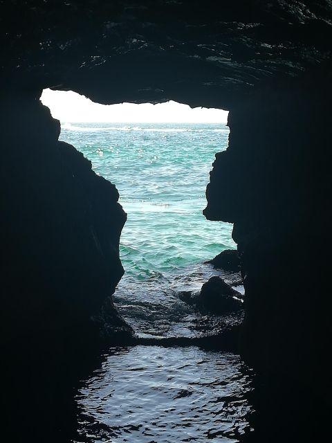 From Faro: Benagil Cave, Marinha, & Carvoeiro Full-Day Tour - Customer Feedback