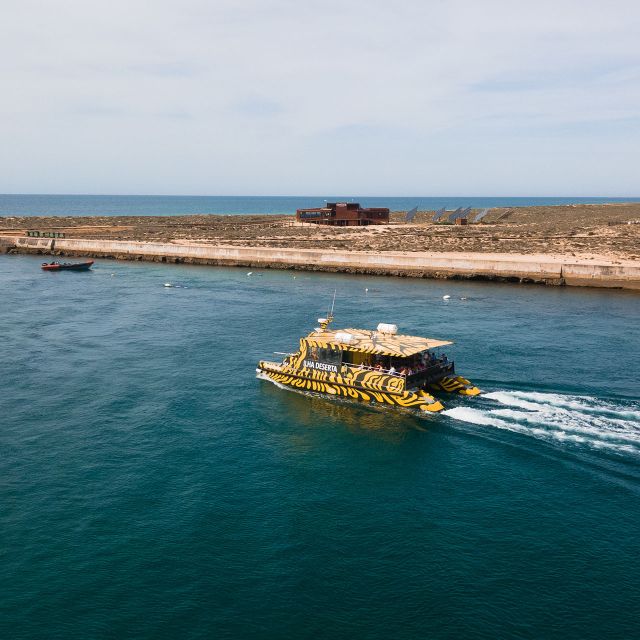 From Faro: Catamaran Boat Trip to Deserta Island With Stop - Key Points
