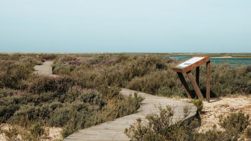 From Faro: Catamaran Boat Trip to Deserta Island With Stop - Boat Trip Schedule and Duration