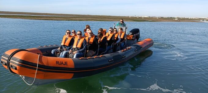 From Faro: Dolphin Watching & 2 Islands Tour - Meeting Point & Duration