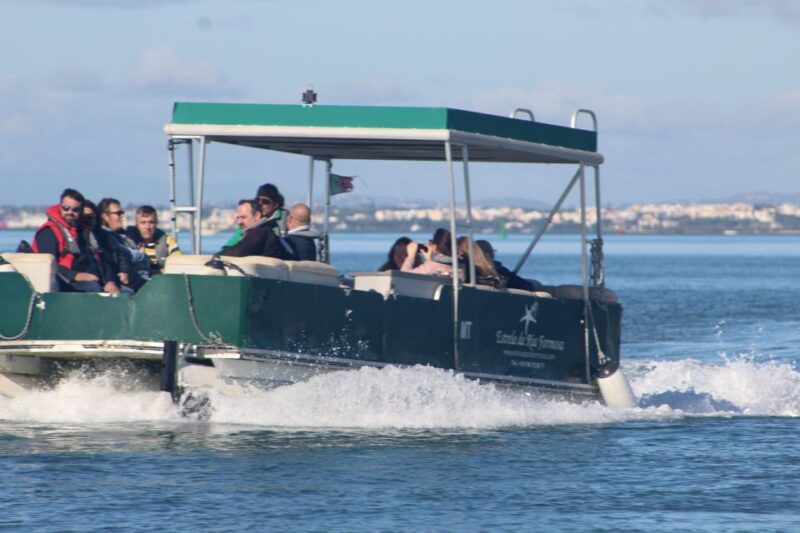 From Faro: Private Tour in Ria Formosa - Cape of St. Mary