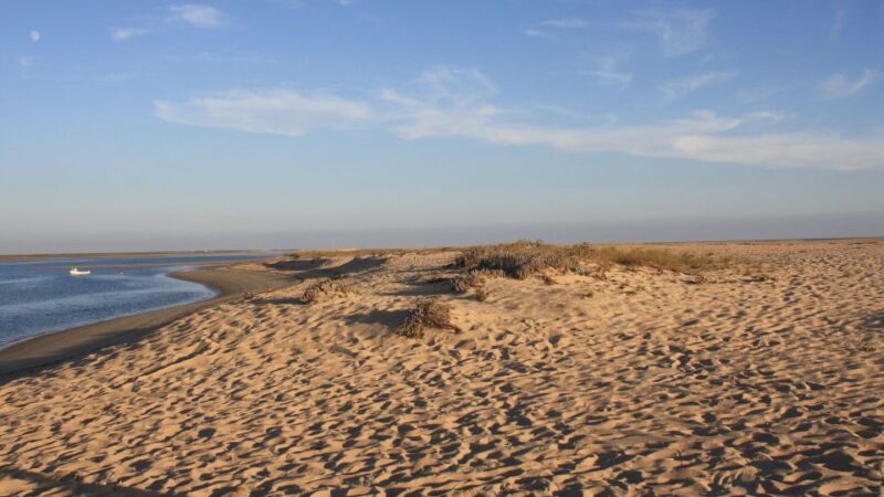 From Faro: Ria Formosa Eco-friendly Solar Boat Tour - Itinerary Highlights