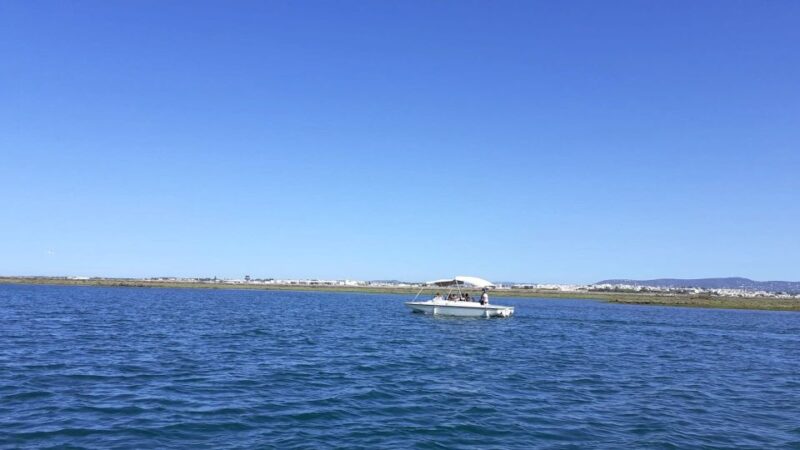 From Faro: Ria Formosa Eco-friendly Solar Boat Tour - Inclusions and Exclusions
