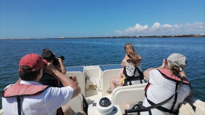 From Faro: Ria Formosa Eco-friendly Solar Boat Tour - Shellfish Farming Insights