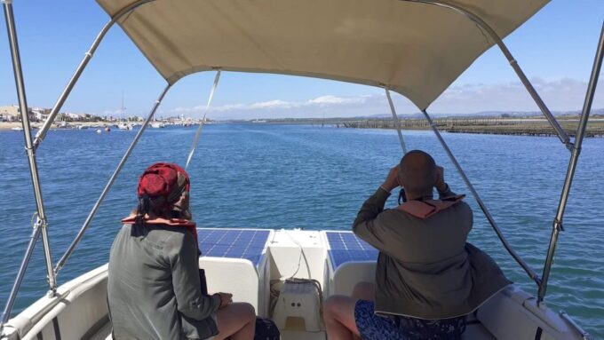 From Faro: Ria Formosa Eco-friendly Solar Boat Tour - Eco-friendly Solar Boat Experience