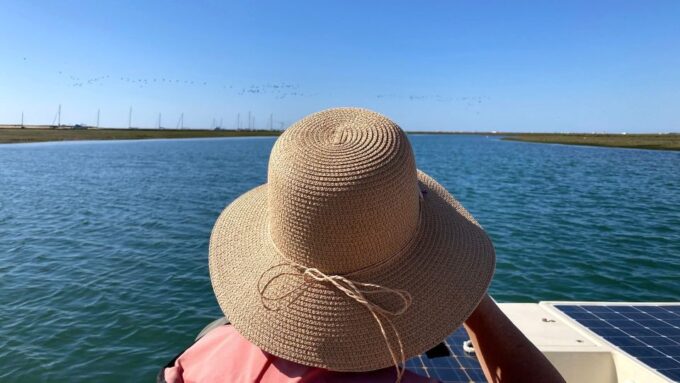 From Faro: Ria Formosa Eco-friendly Solar Boat Tour - Frequently Asked Questions