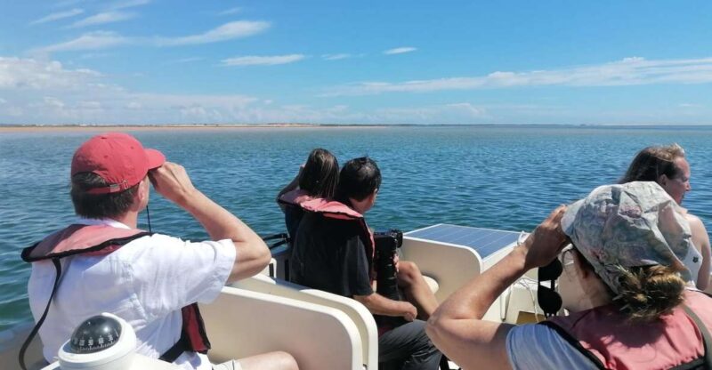 From Faro: Ria Formosa Eco-friendly Solar Boat Tour - Booking Information