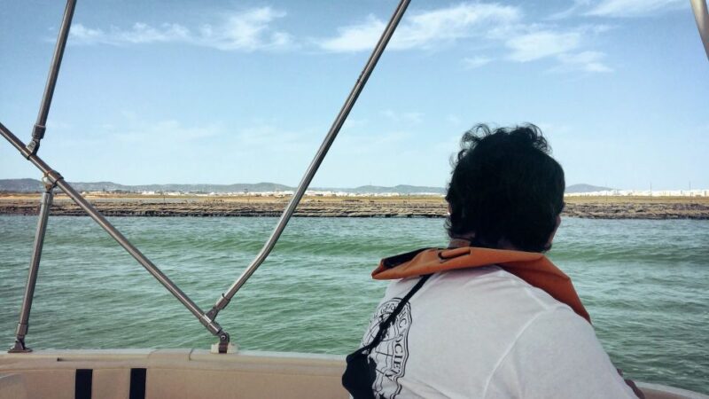 From Faro: Ria Formosa Eco-friendly Solar Boat Tour - Inclusions and Exclusions