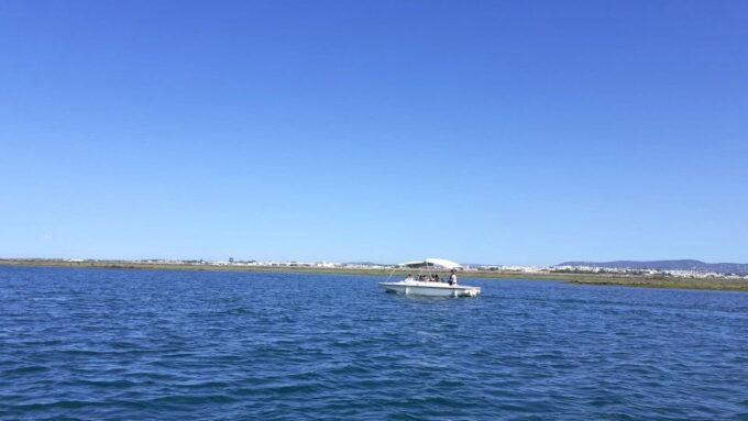 From Faro: Ria Formosa Eco-friendly Solar Boat Tour - Lagoons, Marshes, and Islands