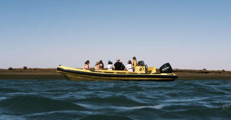 From Faro: Ria Formosa Eco Tour Guided by Marine Biologist - Key Points