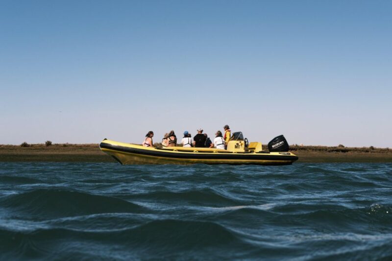 From Faro: Ria Formosa Eco Tour Guided by Marine Biologist - Guided Tour by Marine Biologist