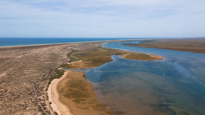 From Faro: Ria Formosa Eco Tour Guided by Marine Biologist - Nature and Birdwatching Experience