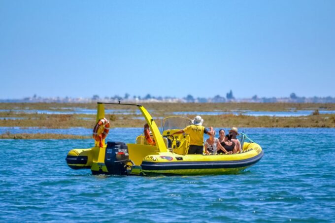 From Faro: Ria Formosa Eco Tour Guided by Marine Biologist - Dining and Exploring Ilha Deserta
