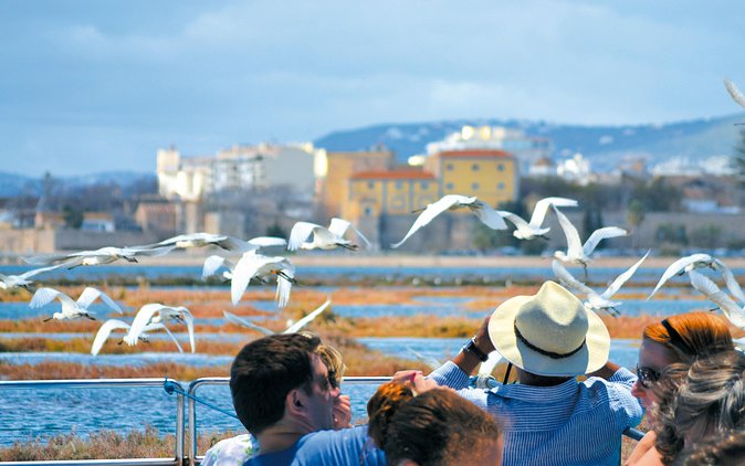 From Faro: Ria Formosa Eco Tour Guided by Marine Biologist - Expert Guide Commentary