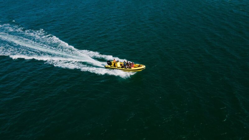 From Faro: Ria Formosa Hop-On Hop-Off Island Cruise - Island Exploration and Itinerary