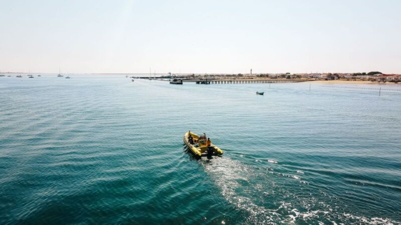 From Faro: Ria Formosa Hop-On Hop-Off Island Cruise - Desert Island Experience