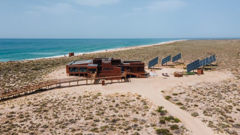 From Faro: Ria Formosa Hop-On Hop-Off Island Cruise - Transportation and Guidance