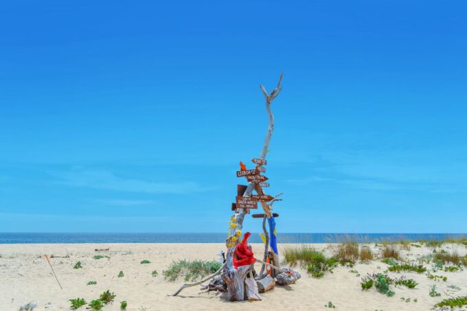 From Faro: Ria Formosa Hop-On Hop-Off Island Cruise - What to Bring and Expect