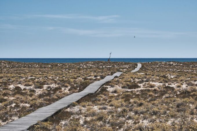From Faro: Ria Formosa Hop-On Hop-Off Island Cruise - Customer Ratings and Feedback