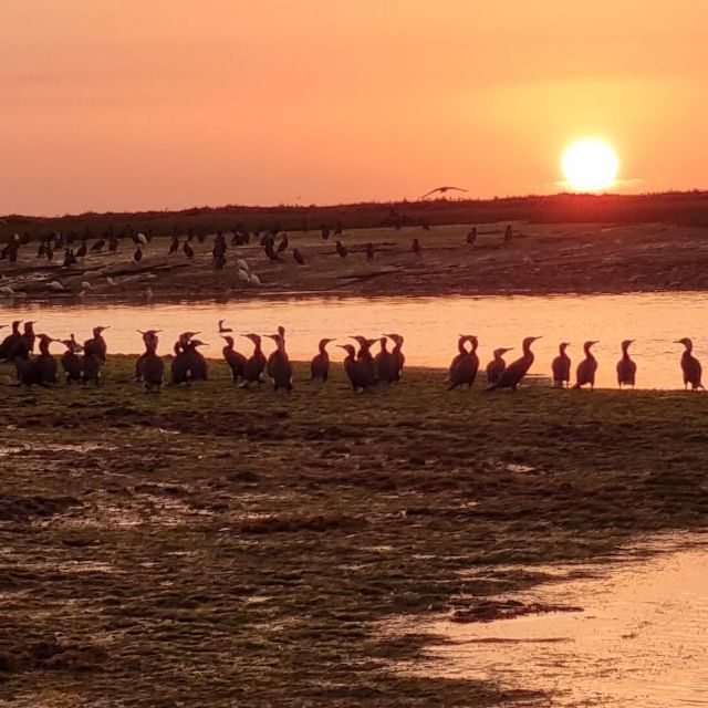 From Faro: Ria Formosa Islands Sunset Boat Cruise - Itinerary and Highlights