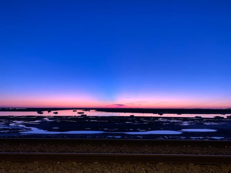 From Faro: Ria Formosa Sunset Boat Trip - Important Information