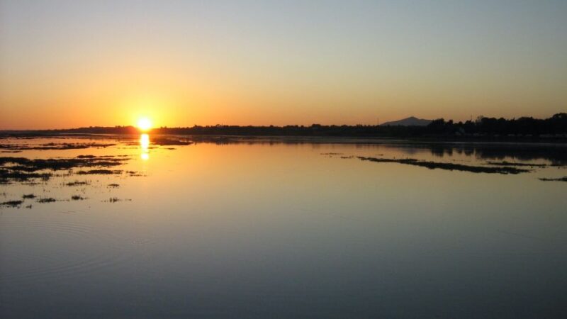 From Faro: Ria Formosa Sunset Boat Trip - Eco-Friendly Boat Experience