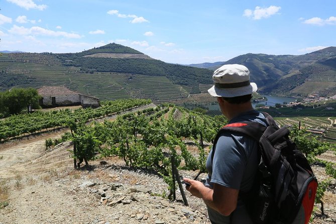 From Favaios to Pinhão Walking Tour - Picturesque Vineyards