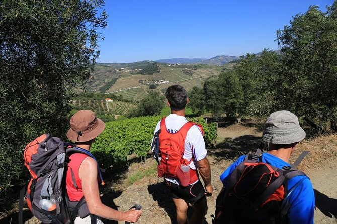From Favaios to Pinhão Walking Tour - Olive Oil Museum