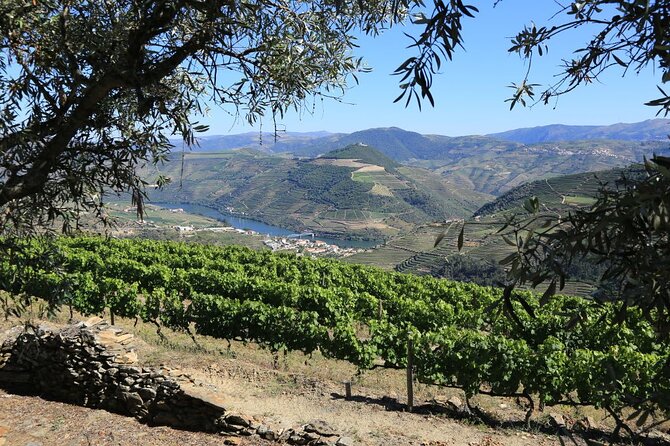 From Favaios to Pinhão Walking Tour - Quinta Do Bomfim Picnic