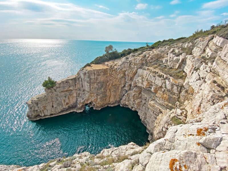 From Fazana: Private Blue Cave Snorkel & Lagoons Np Brijuni - Inclusions