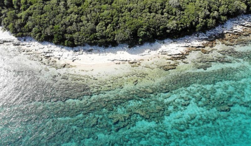 From Fazana: Private Cruise to Rovinj With Islands and City - Scenic Views and Opportunities