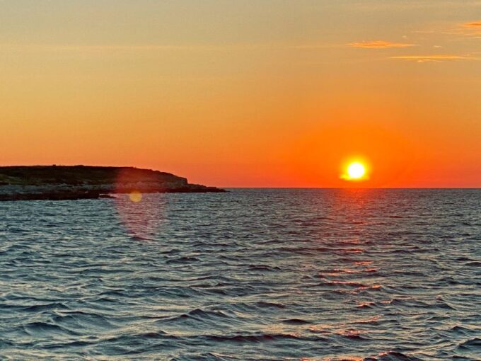 From Fazana: Private Dolphin Search & Sunset Cruise - Dolphin Watching Experience