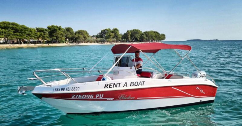 From Fazana: Private Sunset Dolphin Tour - Good To Know