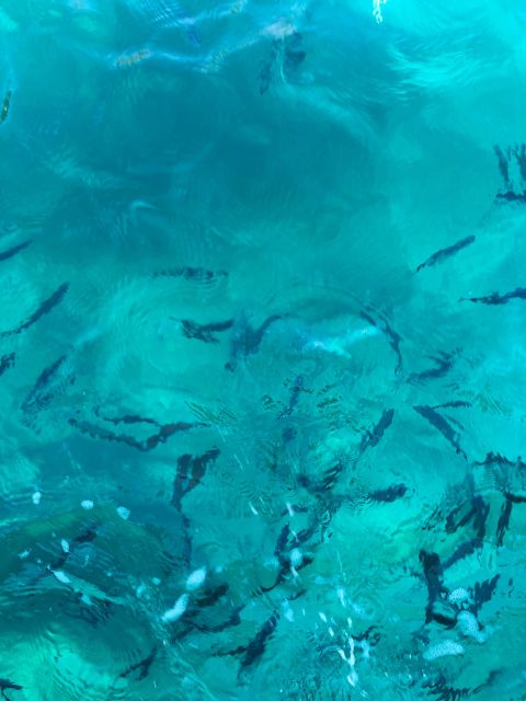 From Fazana: Private Taxi to the Island of Sv. Jerolim - Itinerary and Experience