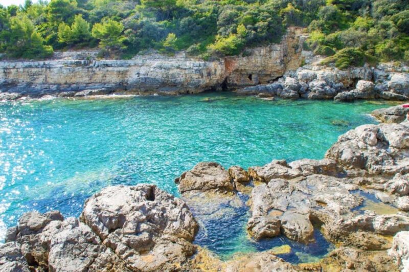 From Fažana: Snorkeling at a Sea Cave and Brijuni Island - Customer Reviews