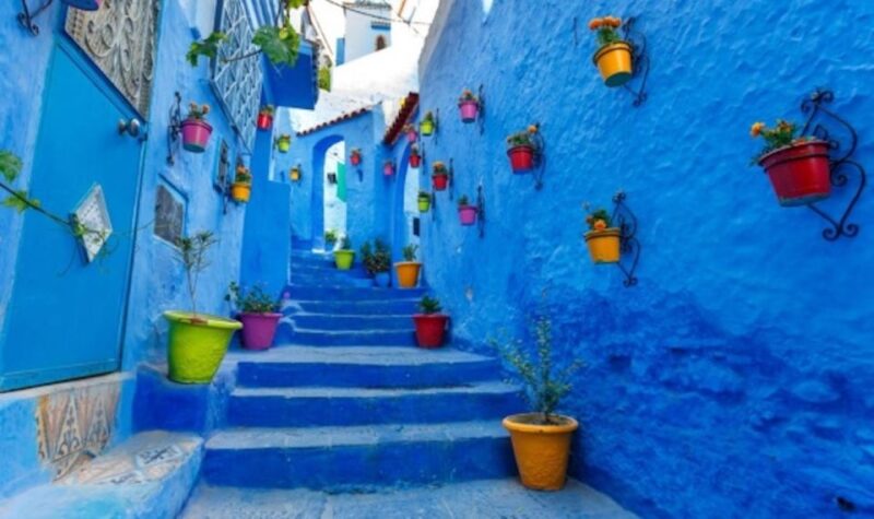 From Fes: 1-Way Private Transfer to Chefchaouen - Key Points