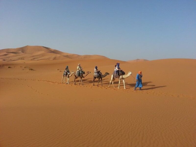 From Fes: 2-Day Desert Tour With Return to Fes or Marrakech - Itinerary Highlights