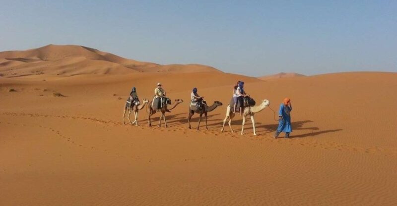 From Fes: 2-Day Desert Tour With Return to Fes or Marrakech - Price and Inclusions