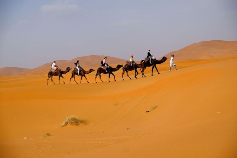 From Fes: 2-Day Merzouga Desert Trip W/Luxury Tent & Dinner - Cancellation and Pickup Details