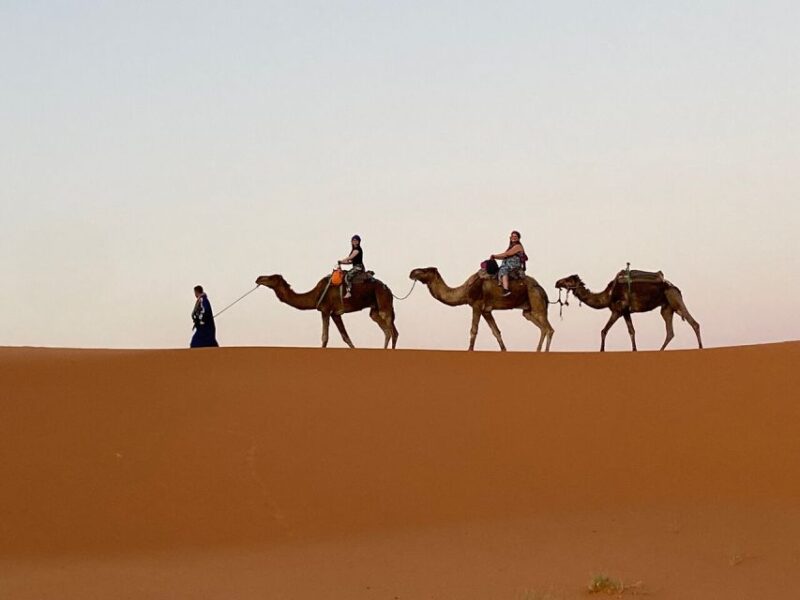 From Fes: 3-Day Luxury Desert Tour to Marrakech via Merzouga - Key Points